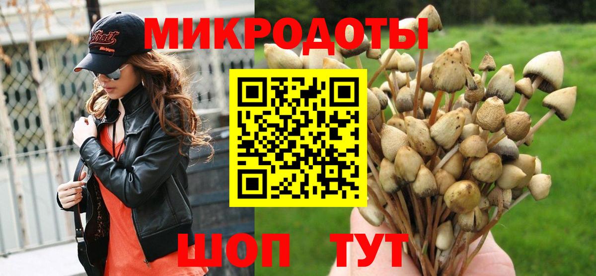 Псилоцибиновые грибы прущие грибы Котлас