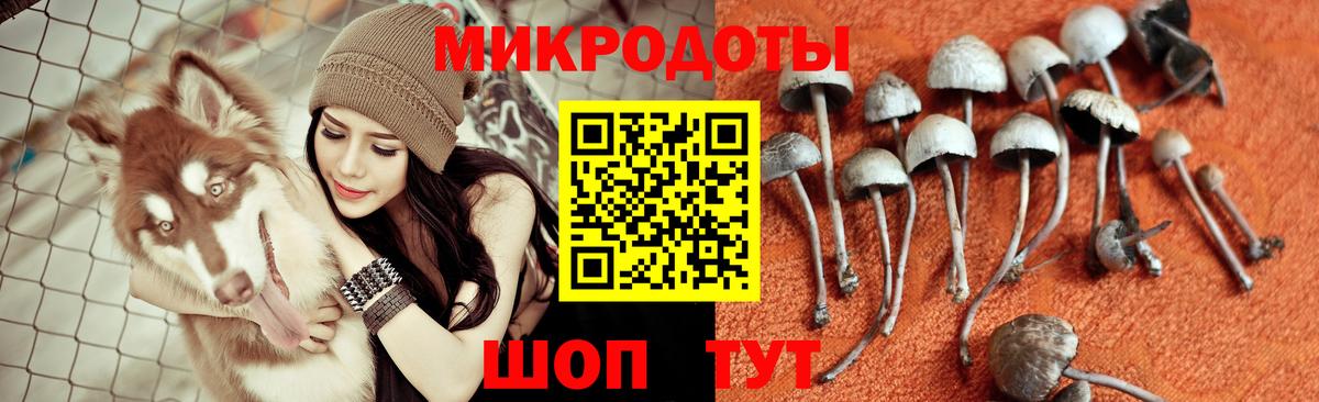 Псилоцибиновые грибы мицелий  Псилоцибиновые грибы Psilocybine cubensis  Вход с VPN  Котлас 